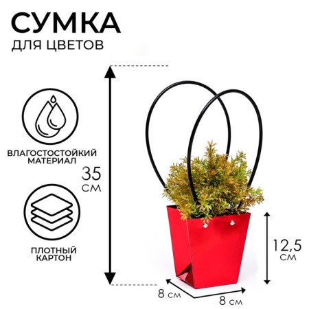 Bag for flowers red moisture-resistant, 12x12-8x8-12.5 cm