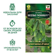Cucumber seeds 