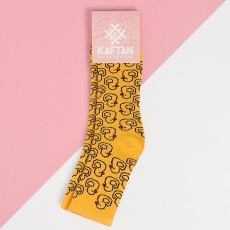 Women's socks KAFTAN Ducks p. 36-39 (23-25 ​​cm)-2