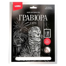 The engraving is large with the effect of silver 