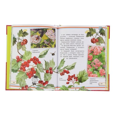 Brachkina Encyclopedia "I know everything." Tanasiychuk V.N., Akimushkin I.-2