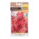 Flower seeds Dolphinium "Red Giant", 30 pcs.