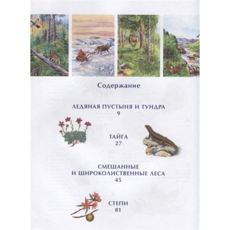 Nature of Russia. Illustrated Encyclopedia. Svechnikov V., Romanova T.-1