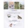 Nature of Russia. Illustrated Encyclopedia. Svechnikov V., Romanova T.