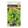 Salad seeds "Young-green", 0.5 gr.