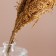 Set of dried flowers "millet", banch length 45 (+/- 6 cm), natural