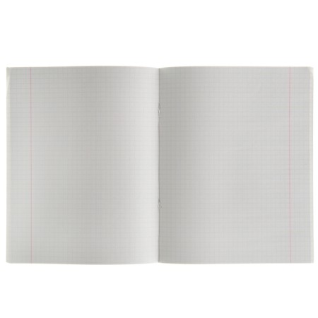 Notebook 48 sheets in the cage "Blue", the cover of the boumvil-1