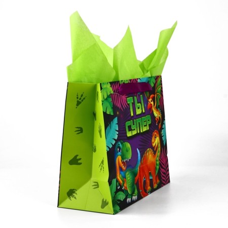 Packet laminated bilateral "dinosaurics", with quiet and postcard, ml, 23 × 27 × 11.5-3