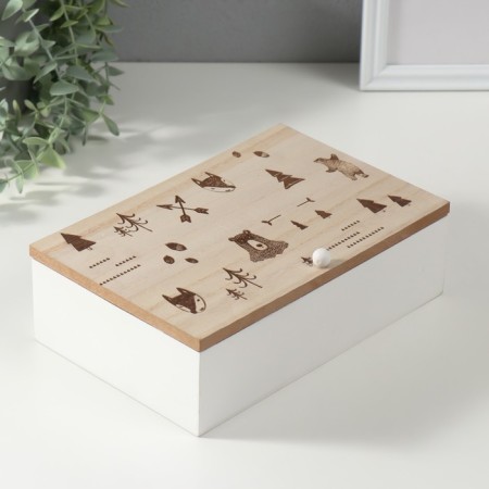 Casket tree with divisions "Forest Beasts" 23x15x8.3 cm-1