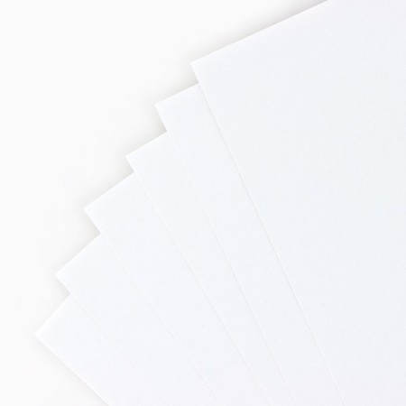 White cardboard A4, 16 sheets unilateral unilateral “September 1: Cute Pets” 200 g/m2-3