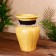 Vase 15x15x23 cm, Albezia