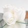 Soap roses, white, set 3 pcs.