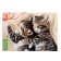 Puzzle "meow-koti", 160 elements