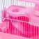 The cage for rodents "Pigzon", 27 x 21 x 27 cm, pink