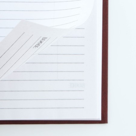 Diary in a solid cover A5, 80 sheets "Rare View"-3