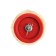 Lom roller, polyacryl, 100 mm, handle d = 6 mm, d = 50 mm, pile 6 mm