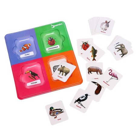Sorter "Study the Animal World" with Doman's cards-1