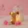 Set gift "dog Bezh" soap pink roses 5 pcs, dew 7x7x12 cm