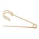 Pin 4.5 × 1.2 cm (set 5 pcs.), SM-208-3, color gold