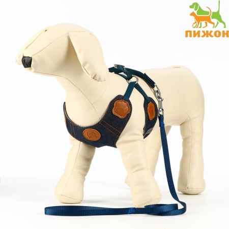 Set "Reflex", size S, leash 95 cm, og 18-47 cm, jeans