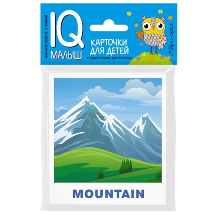 Package. Mini-comprehensive IQ-game for learning English. Level 2-8