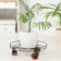 Flower stand on the wheels of the share, 34 × 34 × 10 cm, the color is black