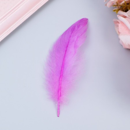 Filler of feathers for balls and gifts, light purple, 10-12 cm 8 g