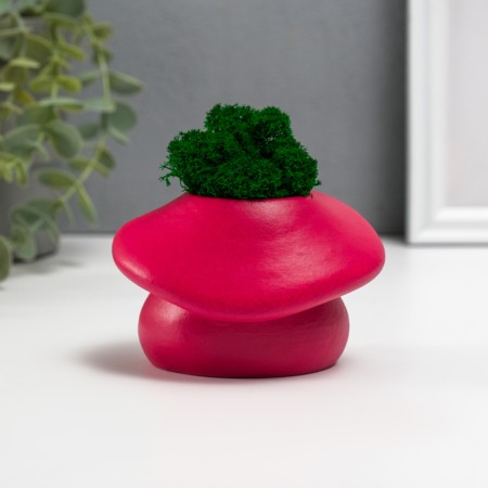 Concrete Kashpo "Mushroom" with moss 10x8x6.5 cm Bordeaux (moss green stabilized)-3