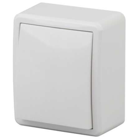 Switch, 10AX 250V, IP20, OU, Era Expert, White