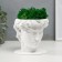 Concrete Kashpo "David" with moss white 11.5x15.5x12 cm (moss green stabilized)