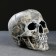 Skull stand "Skull" 16x15x22cm (Yershik n/steel)