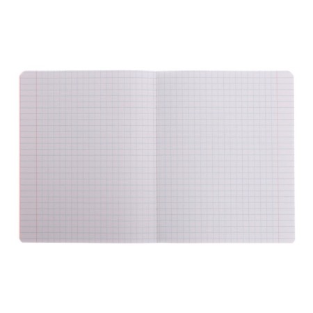 Notebook of 12 sheets in a large cage plain "Classic Intensive", cover coated paper, VD-LK, OFSET block, mix-1