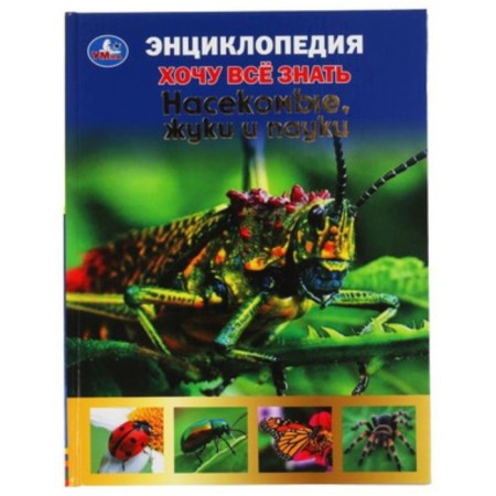Insects, beetles and spiders