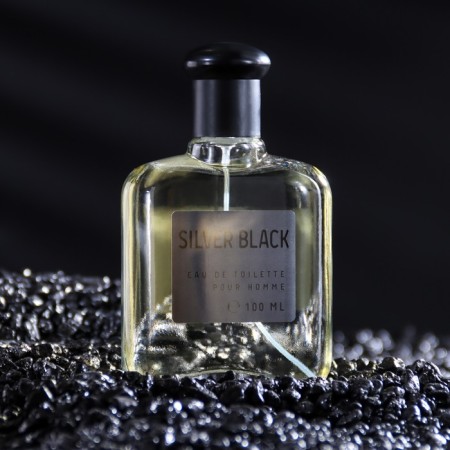 Tuale water Male Color Ssncs Silvr Black, 100 ml (based on EgoIste Platinum (Chanel)