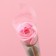 Soap rose on a stem in a PVS 1 pc.