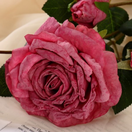 Artificial flowers "Rosa Izsk" 10x64 cm, ash-pink-1