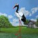 Garden figure "Crane" 16x40x25cm