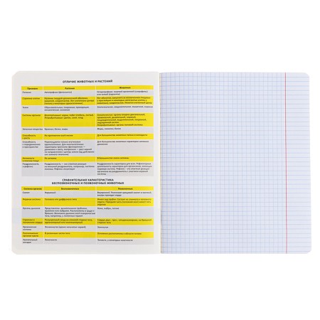 Subject notebook, 48 sheets, cells, biology, Erichkrause "BENFORMED", plastic cover silk-screen cover, block OFSET 100%, information block-3