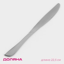 Stainless steel knife of the Verona shade, length 22.5 cm, thickness 3 mm, silver color