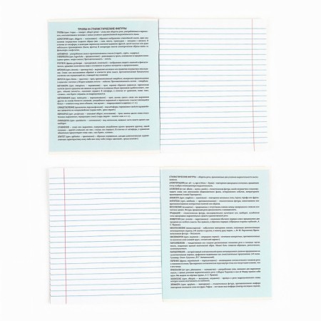 Subject notebook A5, 36 liters on the paper clip “September 1: memes. Literature"-2