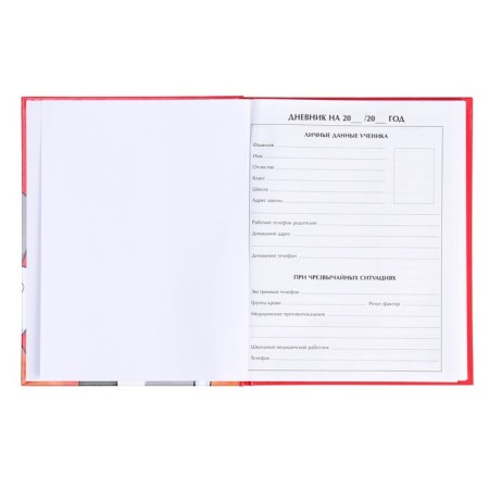Diary for grades 5-11, "cats", solid cover 7BC, glossy lamination, 48 sheets-3