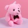 Soft toy "I love you to the moon and vice versa", Bear, Mix color