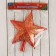 Tips "Star" curls with sparkles, 20.5x23 cm, yellow-red