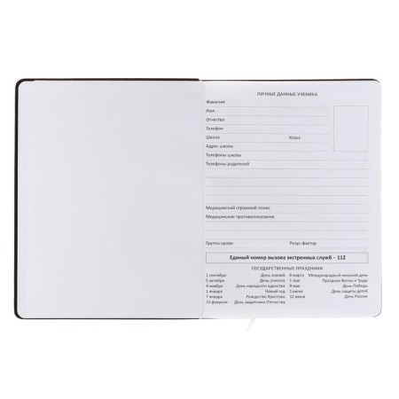 Universal diary for NEVER 1-11 grade, integral cover, artificial leather, application, liesse, 80 g/m2-4
