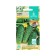 Cucumber seeds "Varangian" F1, early ripe, parthenocarpic, coarse -haired, 0.25 g