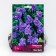Anderson's tradescantia "Max Dubl", 1 pc, rr I, spring 2025