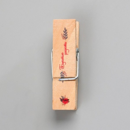 Decor for creativity Tree "clothespin - bouquet of joy" set 10 pcs-4