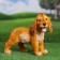 Garden figure "puppy cocker spaniel red" 30x16x24cm