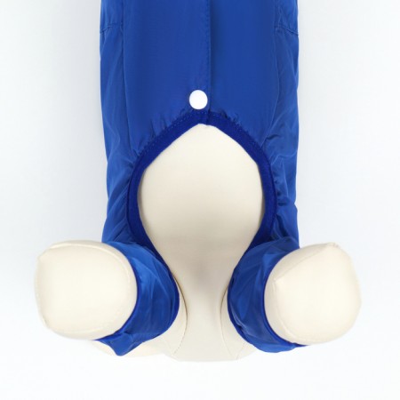 Combiason for dogs, demi -season with a lining, size XS (DS 22, OG 34 cm), blue-5