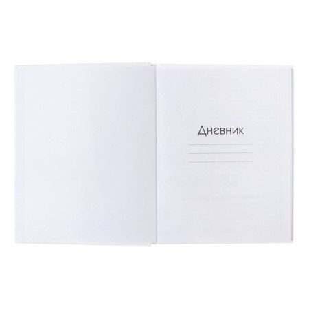 Diary for grades 5-11, hard cover, "cute and funny", glossy lamination, block 60g/m2-3